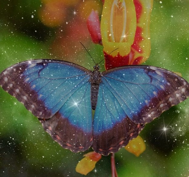 Ghost Pipe Tales Page Image